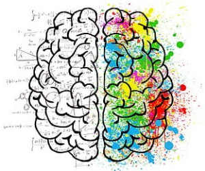 The Science Behind Mindfulness Meditation 