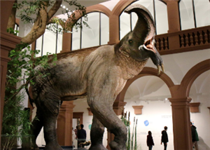 12 Famous Museum Tours 