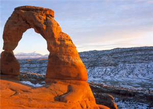National Park Tours 