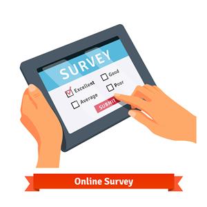 Online Survey Icon 