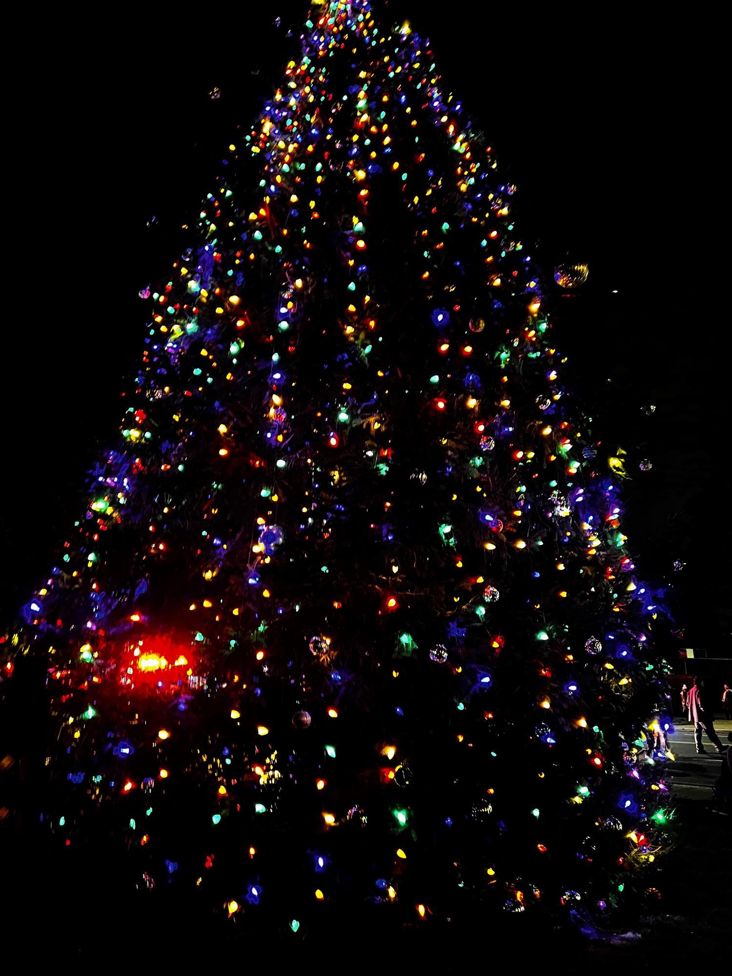  Tree Lighting