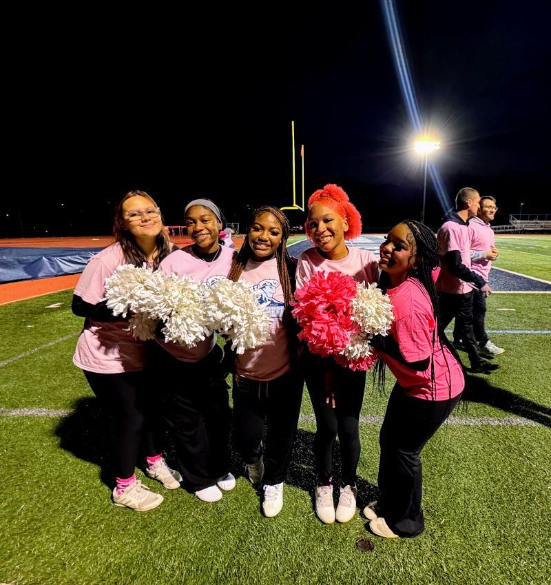  Pink Shield Steps of Hope