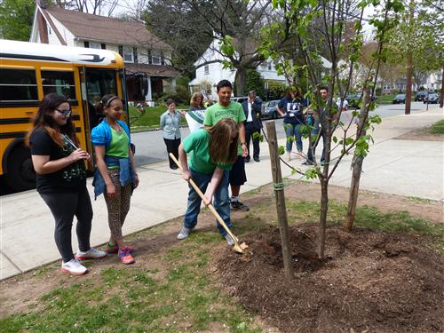 Arbor Day 