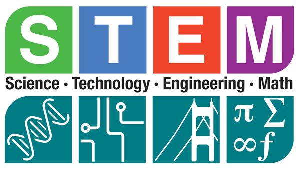 stem 